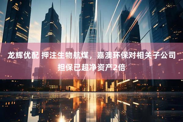 龙辉优配 押注生物航煤，嘉澳环保对相关子公司担保已超净资产2倍
