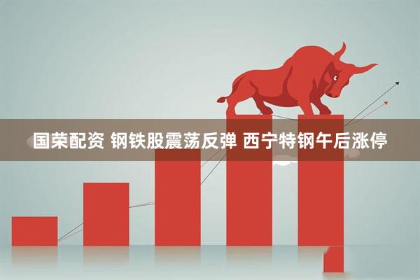 国荣配资 钢铁股震荡反弹 西宁特钢午后涨停
