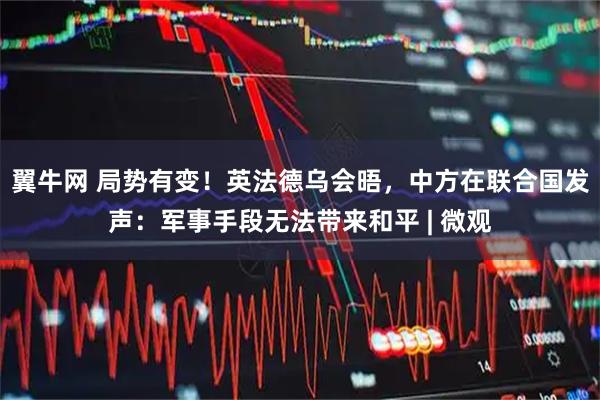 翼牛网 局势有变！英法德乌会晤，中方在联合国发声：军事手段无法带来和平 | 微观