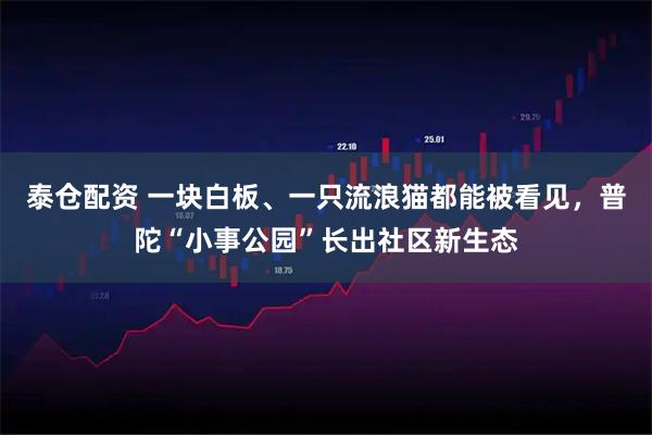 泰仓配资 一块白板、一只流浪猫都能被看见，普陀“小事公园”长出社区新生态