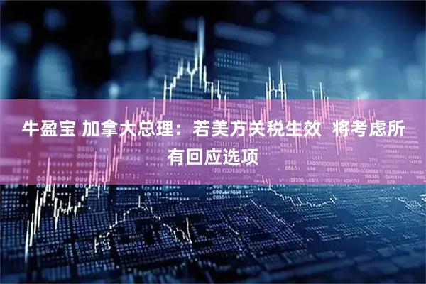 牛盈宝 加拿大总理：若美方关税生效  将考虑所有回应选项