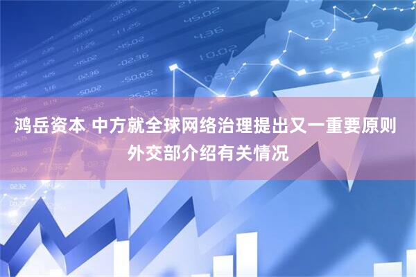 鸿岳资本 中方就全球网络治理提出又一重要原则 外交部介绍有关情况